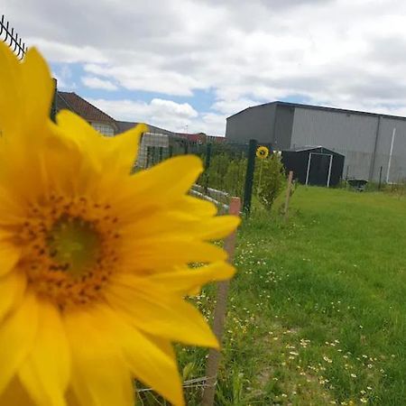 Chambre Calme Dans Une Maison Neuve Avec Jardin Billere Dış mekan fotoğraf