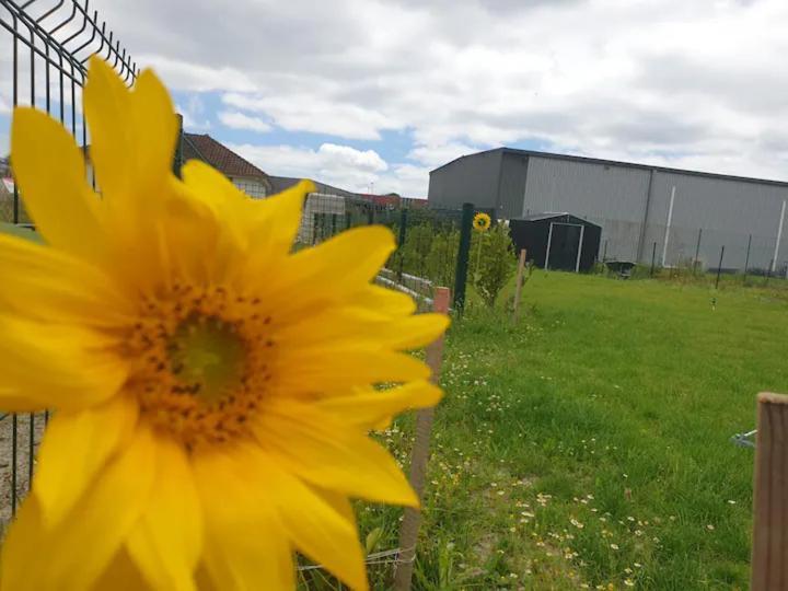 Chambre Calme Dans Une Maison Neuve Avec Jardin Billere Dış mekan fotoğraf